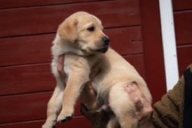 51d7893f-4f37-453f-8fac-e2c1da14df3f